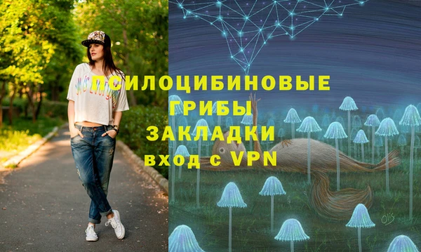 первитин Ладушкин