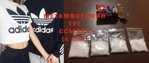 прущие грибы Лабытнанги