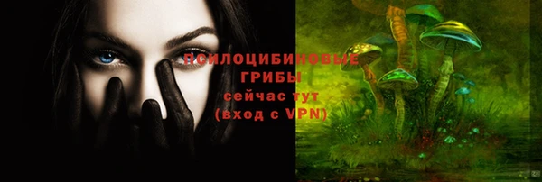 первитин Ладушкин