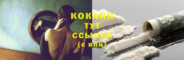 прущие грибы Лабытнанги