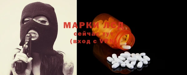 прущие грибы Лабытнанги