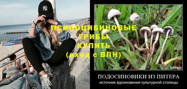 прущие грибы Лабытнанги