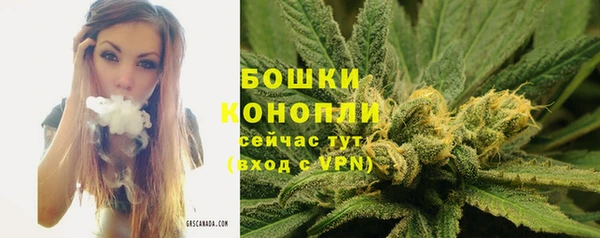 кокс Лагань