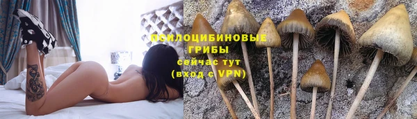 первитин Ладушкин