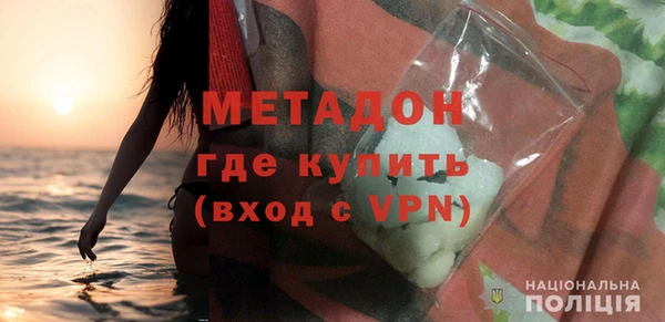 прущие грибы Лабытнанги