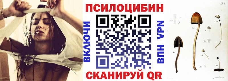 даркнет сайт  Новотроицк  Галлюциногенные грибы GOLDEN TEACHER 